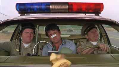 Hey. Pull those guys over!
They're littering! - Any Which Way You Can