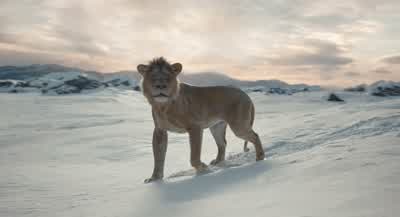Hey, Rafiki? - Mufasa: The Lion King