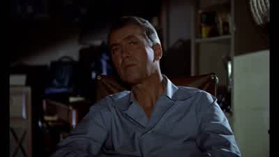 Hey! Rain. Grab that. Wait, I'll get the clock. Oh, no! Pull it. Pull on it. Let me do it. In you go - Rear Window