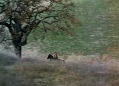Hey, Rattlesnake. - Calamity Jane