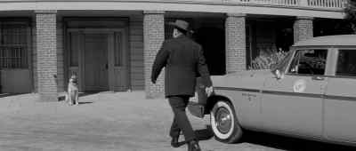 Hey Rocco, you hot boy? - Man in the Shadow