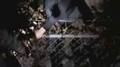 Hey, rock, hey, can you hold
my camera for a second? - V/H/S