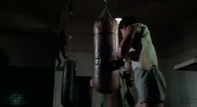 Hey, Rock. - Rocky
