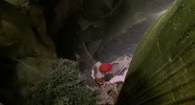 Hey, Ron. - Honey, I Shrunk the Kids