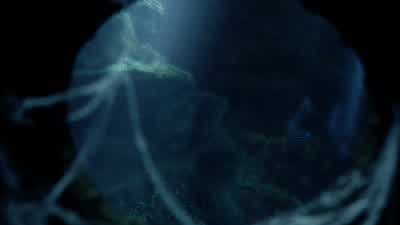 Hey! Hey, over here! - Journey 2: The Mysterious Island