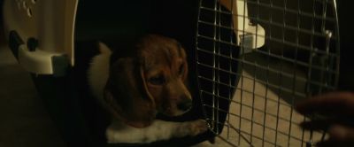 Hey. - John Wick