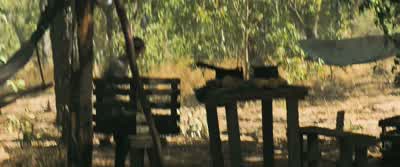 Hey! Hey! No, no, no. Wait. Hey! Hey, wait, wait! Hey, it's okay! Hey! - Maze Runner: The Death Cure