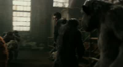 Hey! No! No, no, no, don't! No! No! No! - Dawn of the Planet of the Apes