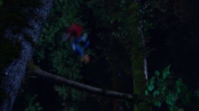 Hey! - Woody Woodpecker