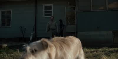 Hey. Hey, what's up with this guy, huh? Nothing, he's probably just hungry. Come on. - Stranger Things