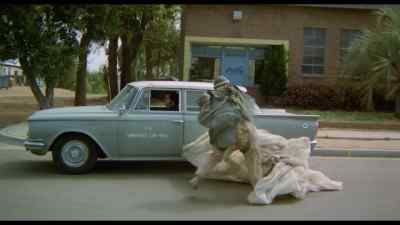 Hey! - Attack of the Killer Tomatoes!