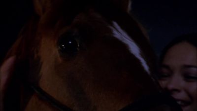 Hey. - Smallville