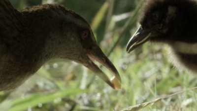 Hey, Scott, listen,
we had a good run. - When Nature Calls with Helen Mirren
