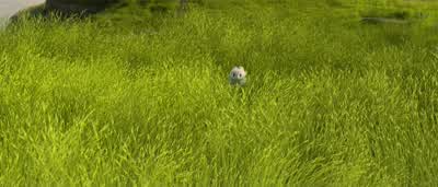 Hey! She followed us back. - How to Train Your Dragon: The Hidden World