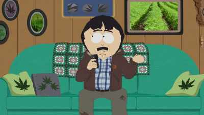 Hey, Siri, you mean like those - South Park: Joining the Panderverse