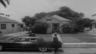 Hey, Stan, can you
come out and play, man? - Killer of Sheep