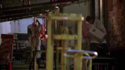 - Hey, Stevie, I don't
wanna keep you awake - The Exterminator