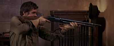 Hey, stop! - The Wild Bunch