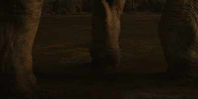Hey! Swing it in! Get it on the deck! - Jurassic World: Dominion