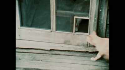 Hey, Tedsy.
Oh, Tedsy. - That Summer