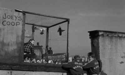 Hey, Terry, guess who's here. - On the Waterfront
