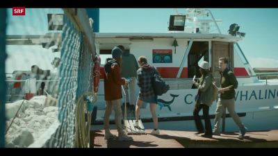 Hey. Thank you. - The Swarm