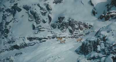 Hey, if the Outsiders
find our tracks, - Mufasa: The Lion King