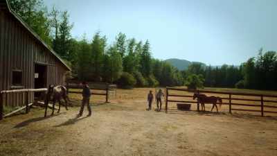 Hey there, Mr. McCleary. - Yellowstone Romance