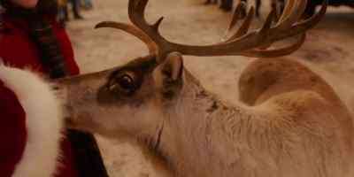 Hey, there. - Prancer: A Christmas Tale