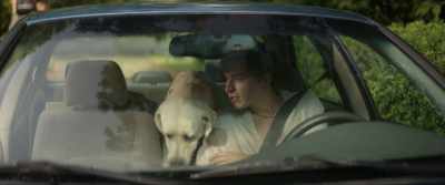 Hey, there's gonna be
an adjustment period, - Dog Gone