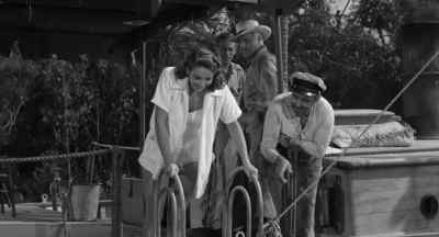 Hey, they're up! - Creature from the Black Lagoon