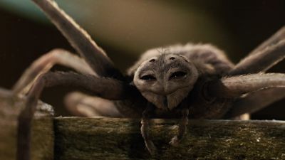Goodbye - Charlotte's Web