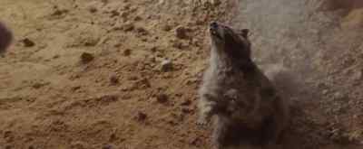 Hey, who threw Richard?
He's on our team now. - Where the Wild Things Are