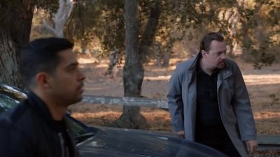 Hey, Tim,
you ever want a cabin? - NCIS
