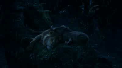 Hey TimonDo you ever look up thereand wonder what those sparkly dots areOh Pumbaa I don't wonder I knowReally What are theyThey're firefliesFireflies that got stuck on that big bluish black thingOhI guess that makes senseI always thought they were balls - The Lion King