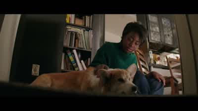 Hey, tino. - A Dog's Purpose