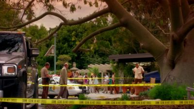 Hey, Tripp? - CSI: Miami