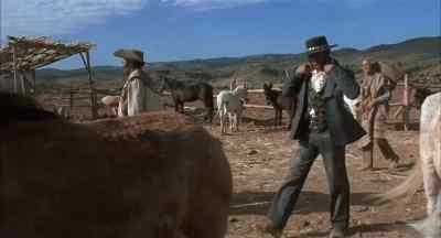 Hey, Tyree, there's one for you. - Take a Hard Ride