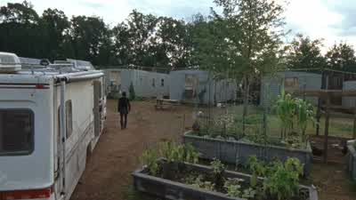 Hey, you up for this? - The Walking Dead