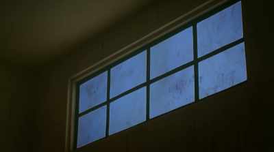 - Hey Vargas, you think
these windows will be okay - Shangri-La: Near Extinction
