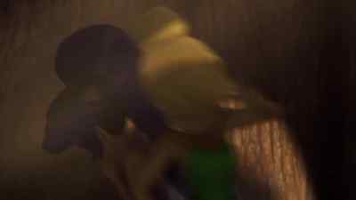 - Hey!
- Vidia? - Tinker Bell
