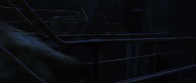 Hey, wait a minute. - The Day After Tomorrow