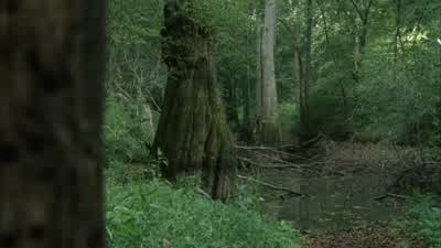 Hey, walker bait. - The Walking Dead