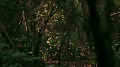 Hey what about my nipples Shut up Someone's watching us - Club Dread
