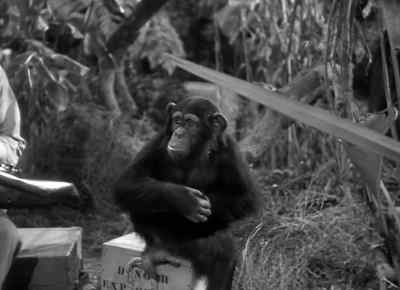 Hey, what are you doing? Give me that. - Tarzan and the Amazons