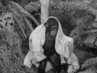 Hey. What do you think
you're doing? - Tarzan's Hidden Jungle