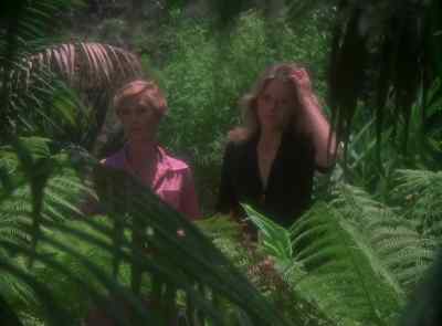 Hey, what is it? - The Six Million Dollar Man