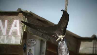  Hey! What's goin' on, matt? - Deadliest Catch: Bloodline