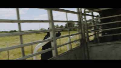 Hey, what's
going on back there? - The Rodeo Thief