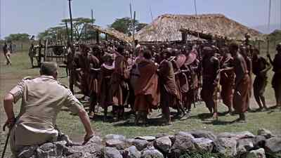 Hey! What's the matter? - Hatari!